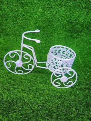 Tricycle-Shaped Metal Storage Basket & Flower Vase Holder