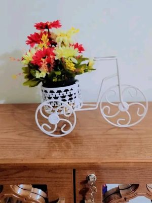 Tricycle-Shaped Metal Storage Basket & Flower Vase Holder